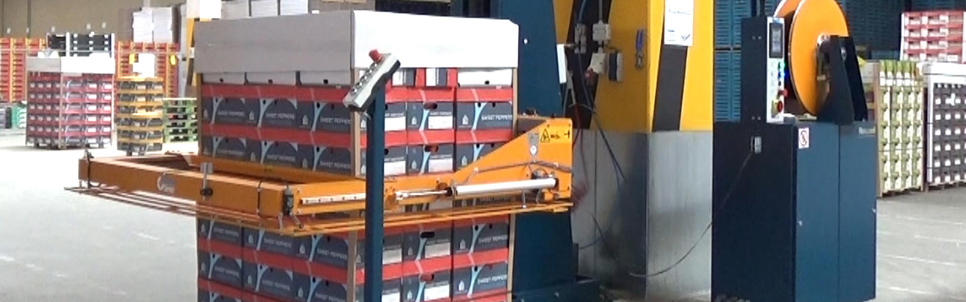 Verpakkingsbedrijf Roosendaal omsnoeringsmachine Reisopack 2903 | Reisopack