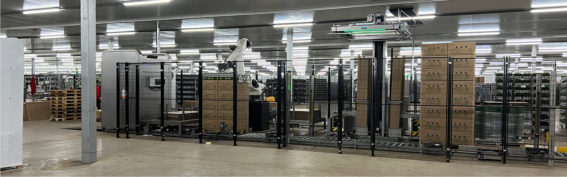 Reisopack 2905 omsnoeringsmachine geinstalleerd in automatische verpakkingslijn