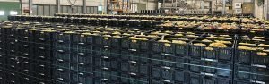 Reisopack 2903 geplaatst bij Kartoffel Bausch | Reisopack Nederland