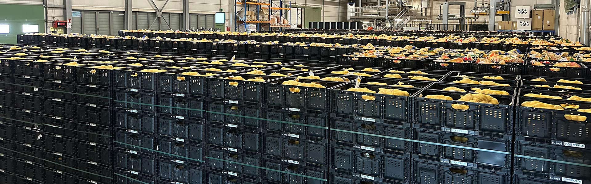 Reisopack 2903 geplaatst bij Kartoffel Bausch | Reisopack Nederland