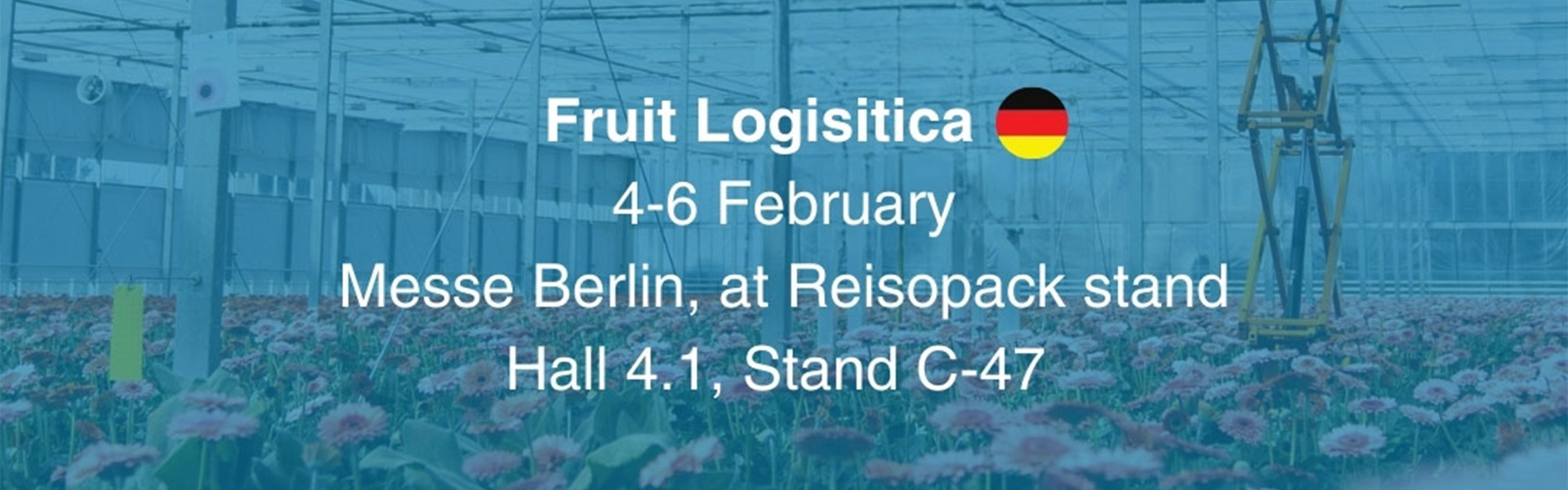 Reisopack Nederland aanwezig op FRUIT LOGISTICA 2026 | Reisopack Nederland Reisopack Nederland aanwezig op FRUIT LOGISTICA 2026 | Reisopack Nederland